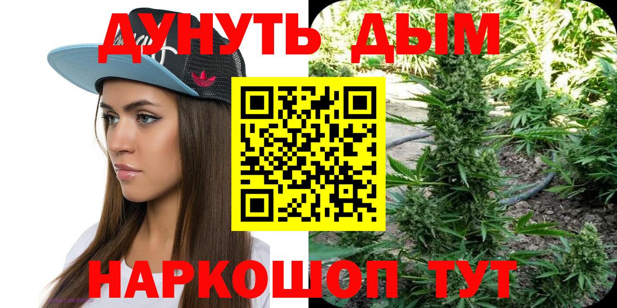 МАРИХУАНА ГИДРОПОН  Бошки Шишки сатива  Вход с VPN  Северск  Канабис план 
